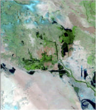 A satellite image showing a mix of green vegetation, brown terrain, and light-colored desert areas with visible water bodies and river channels.